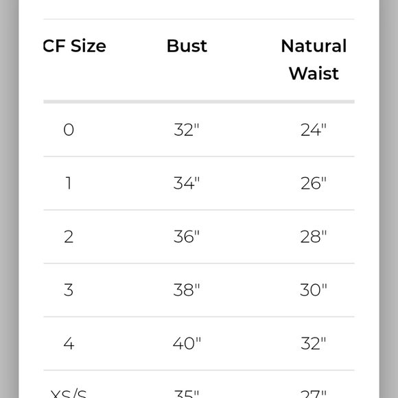 Stone Cold Fox, white lace dress with nude slip. Size 2. (Tag says 1. Fits a 2). - Picture 11 of 12